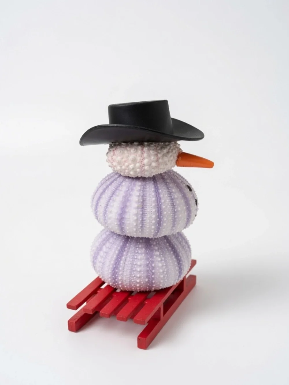 She shells art playful lavender